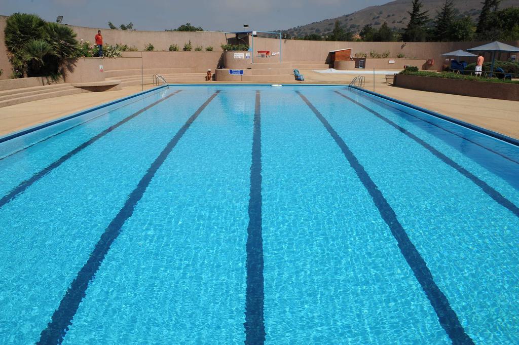 Ein Zivan Village Resort 部屋 写真