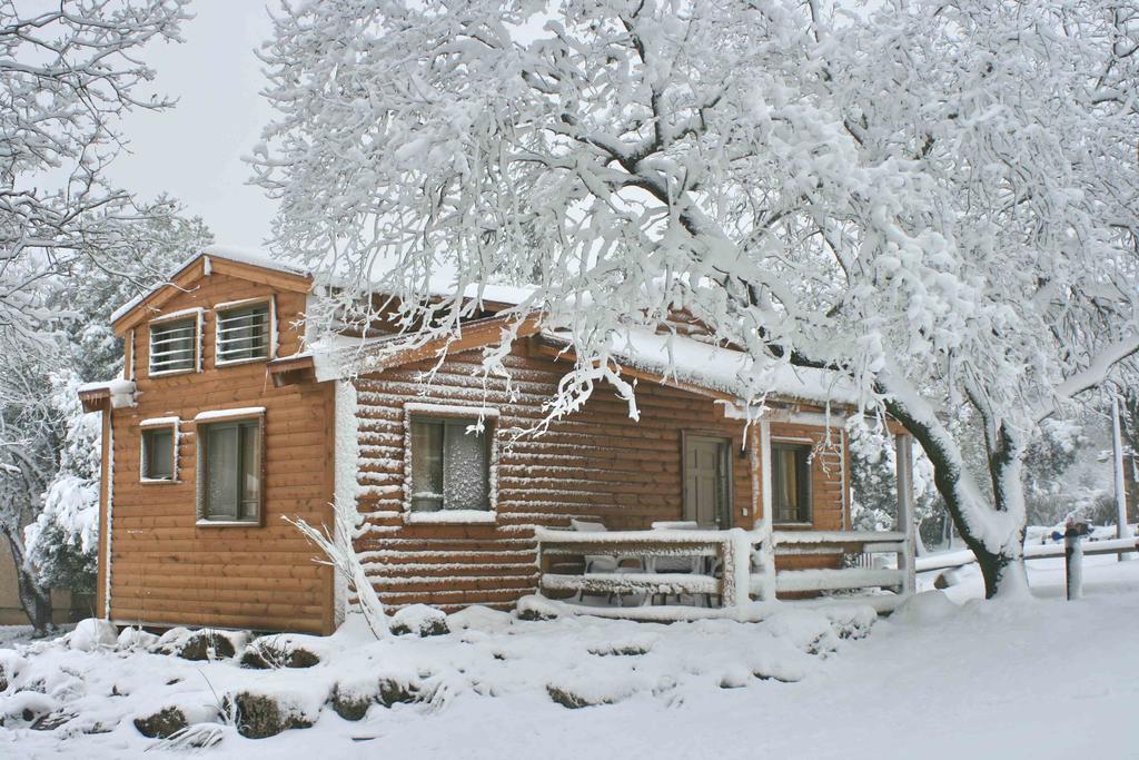 Ein Zivan Village Resort 部屋 写真
