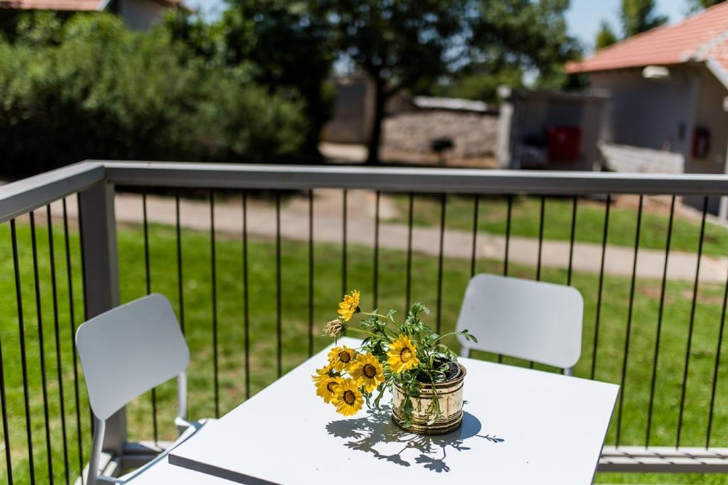 Ein Zivan Village Resort エクステリア 写真